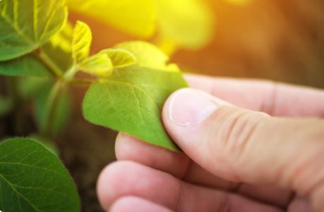 
			Agroseguro supera los 400 millones de euros en indemnizaciones abonadas a productores de cultivos herbáceos por los siniestros causados por la sequía
		